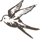イラスト:鳥